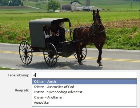 Kanskje kusken sitter og oppdaterer Facebook? Eller kanskje ikke? "Kristen - Amish" spretter uansett opp som førstevalg når man trykker "a".