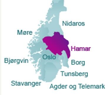Hamar bispedømme av Den norske kirke dekker Oppland og Hedmark fylke. Alle barneskoler i de to fylkene får nå tilbud om være med med på kirkens "vandringsopplegg" i forbindelse med grunnlovsjubileet.