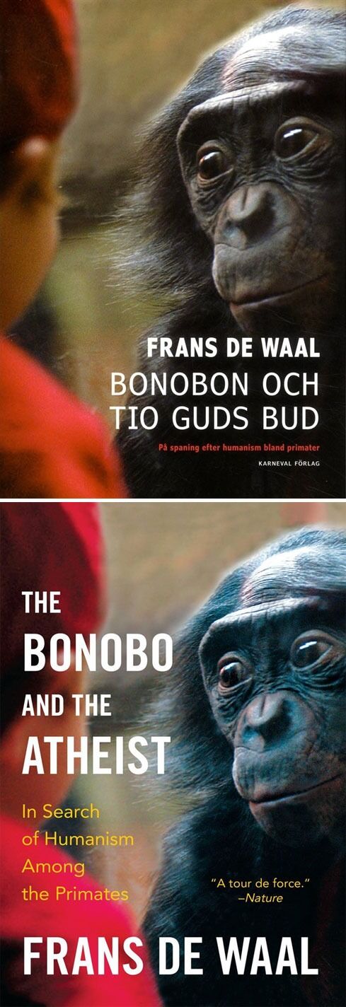Frans De Waals bok The Bonobo and the Atheist har nå kommet på svensk. Fri tanke har vært i Gøteborg og intervjuet forfatteren.