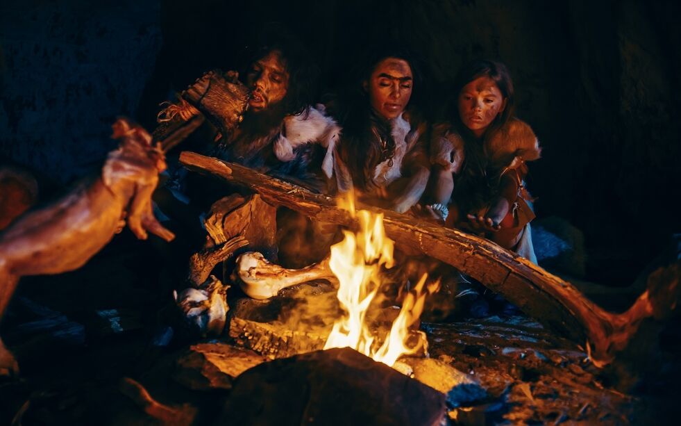 Forskerne har ikke funnet noe som tyder på at neandertalererne hadde en religion. På den annen side, har forskerne funnet nokså få godt bevarte neandertalergraver.
 Foto: Shutterstock