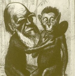 Avisene på 1800-tallet var glade i å lage karikaturer av Darwin. Denne er fra London-publikasjonen Figaro. Se hele oppslaget.