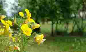 Fritanke.no tar sommerpause