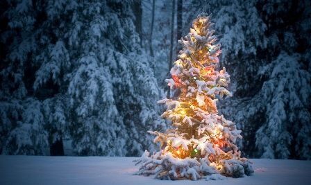 Vi drømmer nok forgjeves om en hvit jul i år, men håper den blir fin likevel!