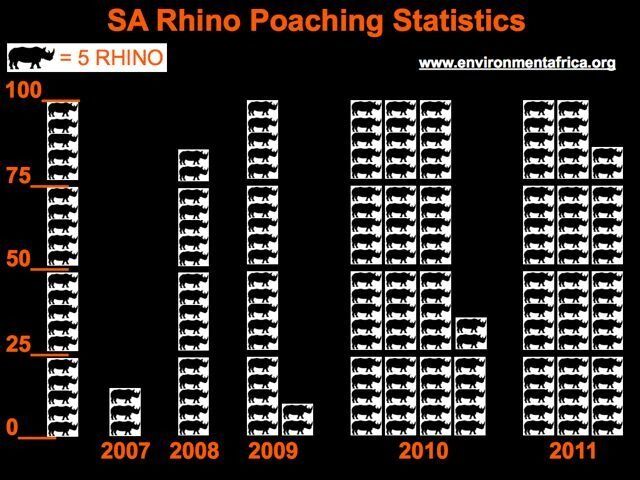 Krypskyting av neshorn i Sør-Afrika: 284 neshorn er drept så langt i år, mer enn et neshorn per dag.
 Foto: environmentafrica.org