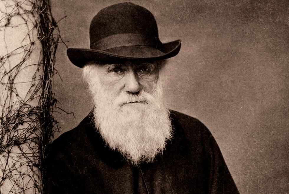 Charles Darwin, slik vi er vant til å se ham portrettert, mot slutten av sin levetid.