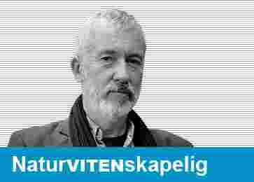 Erik Tunstad (f. 1954) er utdannet biolog og har vært fagredaktør i forskning.no, programleder i «Verdt å vite» på NRK P2 og mangeårig bidragsyter til tidsskriftet «Humanist. Han har skrevet flere fagbøker, blant andre «Darwins teori» (2009) og «Evolusjon. Basert på en sann historie» (2015).

Erik Tunstad skriver jevnlig for Fri tanke under overskriften «Naturvitenskapelig».