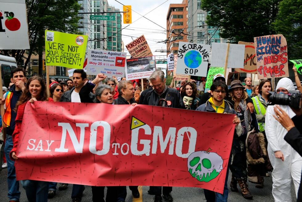 Det arrangeres jevnlig store demonstrasjoner mot GMO. Her fra «March against Monsanto» i Vancouver  i 2013.
 Foto: Flickr/Rosalee Yagihara