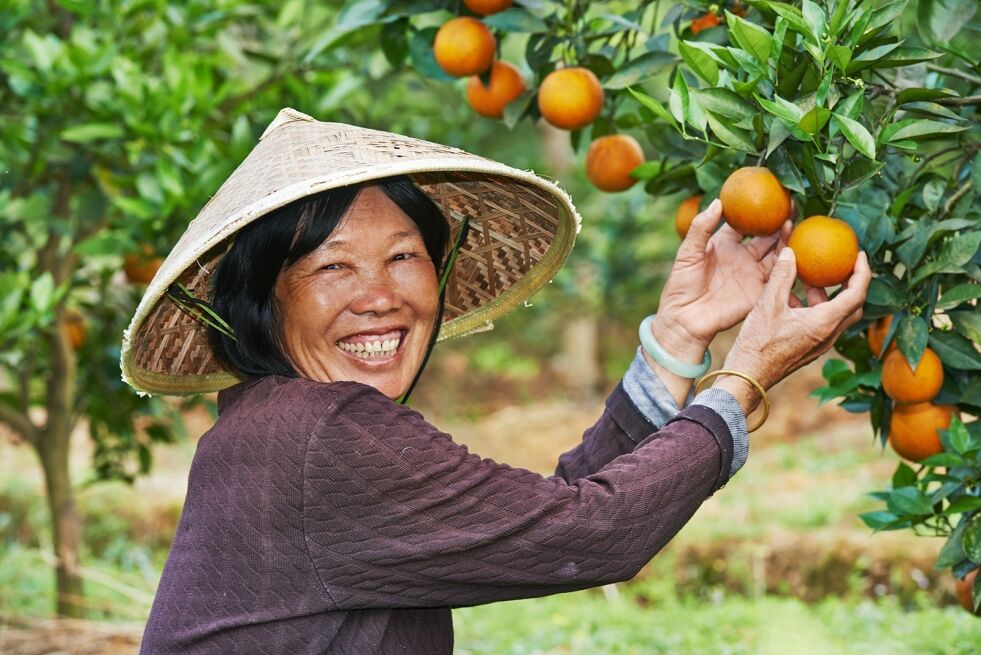 Hva med de som jobber på den kinesiske landsbygda og aldri får høre om Jesus? Blir de frelst? 
 Foto: Shutterstock