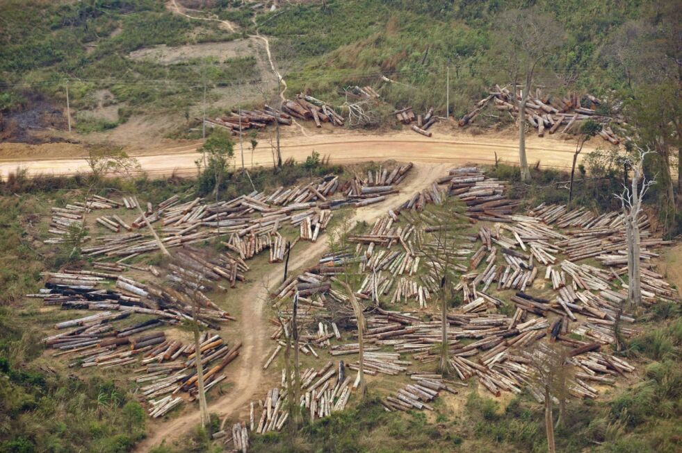 FNs klimapanel slår fast at nedbygging av skogsareal har stor påvirkning på mengden klimagasser i atomsfæren. Bildet er fra illegal skogshogst i Laos.
 Foto: NTB-Scanpix/AFP