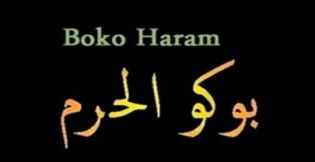 Hæren klarer ikke å stanse Boko Harams frammarsj