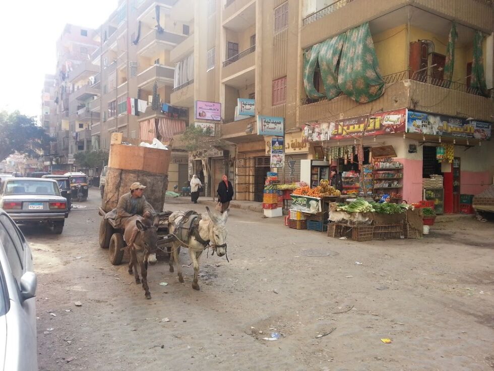 I det fattige nabolaget til Mary Daniel, en god halvtime med metroen nord for Kairo sentrum, brukes fortsatt esler til transport.
 Foto: Even Gran