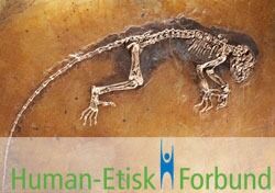 Human-Etisk Forbund er en av tre sponsorer til Zoologisk museums utstilling "Kan vi stole på Darwin", der det verdenskjente Ida-fossilet inngår.
